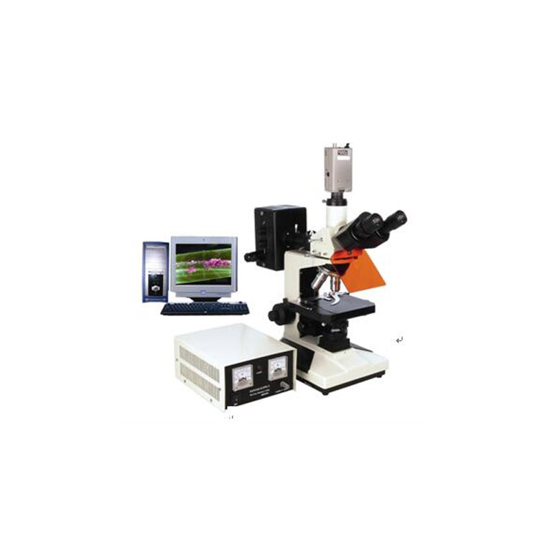 電腦型熒光顯微鏡BFM-300系列