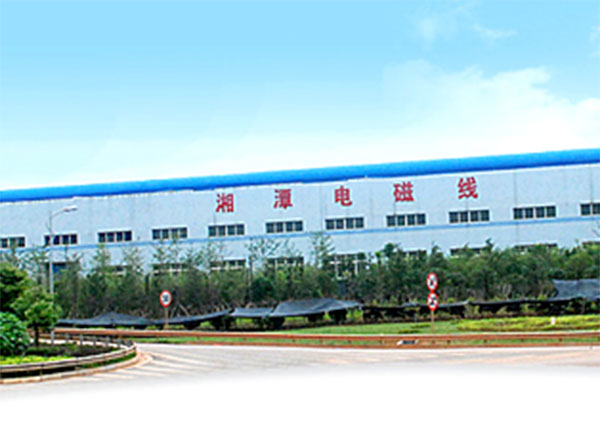 熱烈慶祝湘潭市電磁線廠有限公司新網站上線?。?！